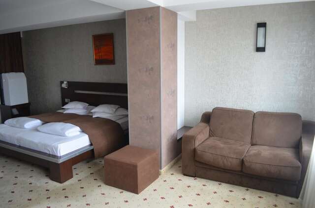 Отель Hotel Premier Сибиу-43